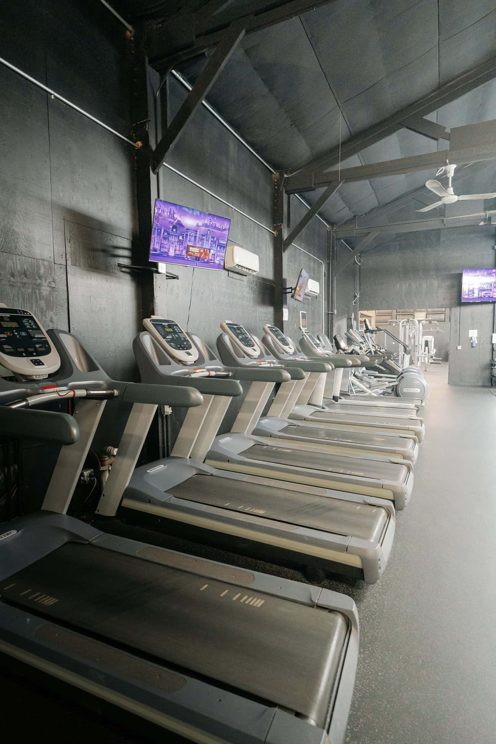 Cardio area: a row of treadmills and ellipticals